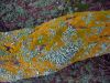 WOT-branche-02.jpg